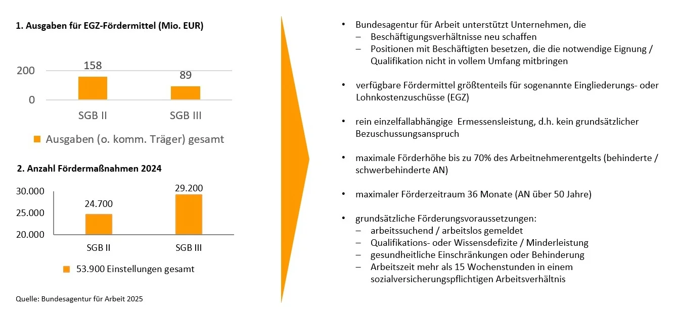 Infografik 2024: Ausgaben und Anzahl der Fördermaßnahmen für Eingliederungszuschüsse (EGZ) und Lohnkostenzuschüsse über SGB II und SGB III durch die Bundesagentur für Arbeit.